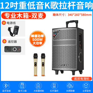 夏新(AMOI)户外音响SA-802 双咪版