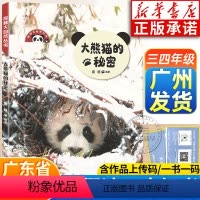 大熊猫的秘密 [正版]2024广东暑假读一本好书三四年级课外书 大熊猫的秘密 庞旸编著 小学生广东书香养慧学习强国阅读书