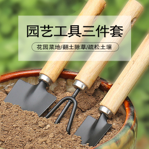种花工具家用套装种菜栽花养花多肉铲松土耙子铁锹园艺小铲子三件