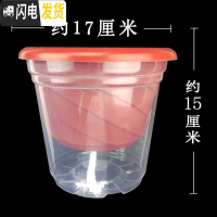 三维工匠绿萝吊兰挂钩塑料花盆厚双层懒人吸水盆悬挂垂吊挂盆透明外盆 棕盆+高170型外盆+吸水绳各10个 40-5花盆容器