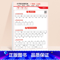 [一年级上册]小学语文默写纸 [正版]语文默写纸小学一年级二年级三年级上册看拼音写生字词语同步人教版小学生字帖练字练习册