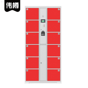 伟樽智能储物柜指纹识别12门850*460*1800mm台