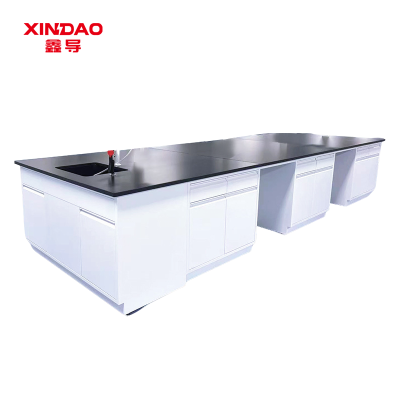 鑫导 实验台 SYT19-钢木中央台定制 米