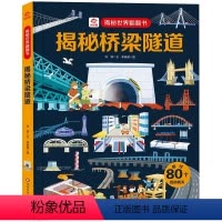 揭秘桥梁隧道揭秘世界翻翻书儿童书籍幼儿早教2-3-4-5-6岁宝宝睡前故事书绘本启蒙认知科普百科3d立体翻翻 [正版]揭