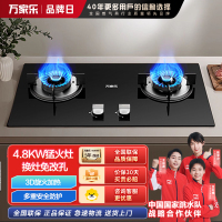 万家乐 Y1R2燃气灶4.8kw大火力3D旋火均匀加热家用灶具天然气