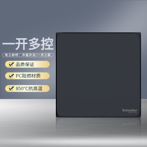 施耐德电气开关插座 皓呈雅致黑 电源插座86型面板 家用墙壁式 五孔一开弱电插座