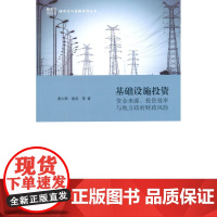 基础设施投资:资金来源、投资效率与地方财政风险 黄少卿//施浩 格致出版社 正版书籍