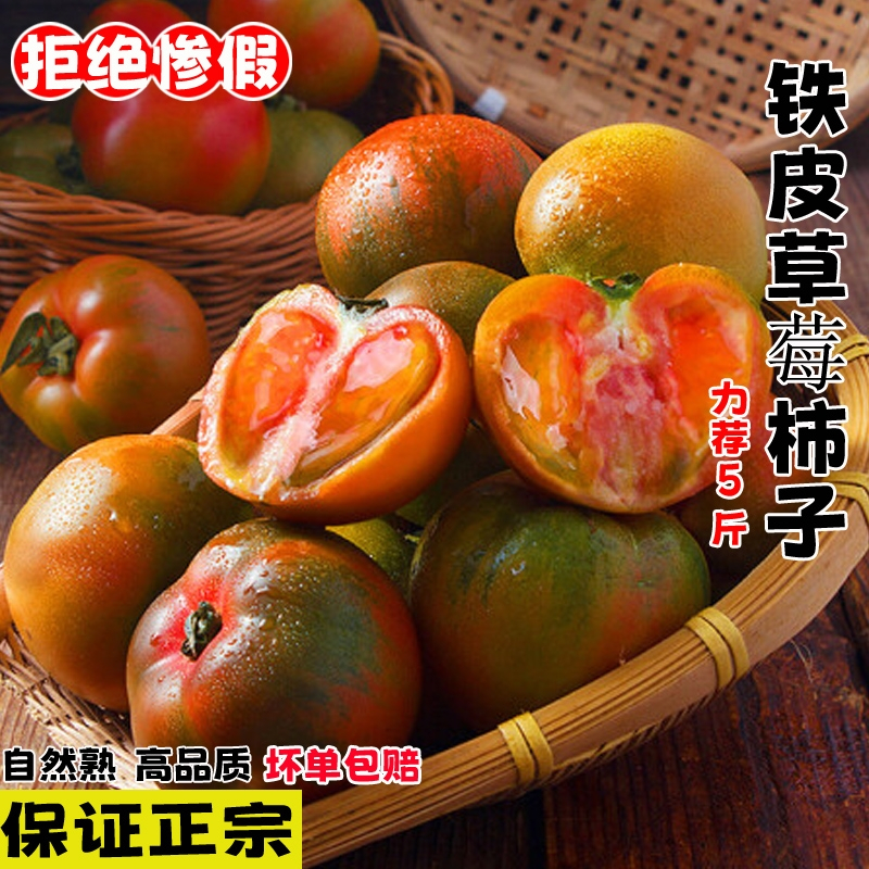JD快递[西沛生鲜]丹东铁皮西红柿 净重5斤 精品 草莓柿子绿腚番茄自然熟生吃应季新鲜水果
