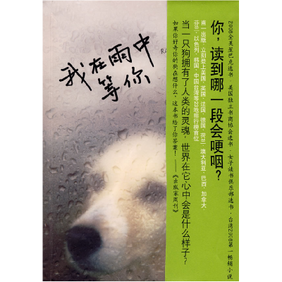正版新书]我在雨中等你(美)斯坦 林说俐9787544242806