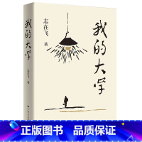 [正版]我的大学 志在飞校园青春题材的长篇小说南方山区的文道政在八十年代初的大学里的学习生活故事青年男女在大学时光里的