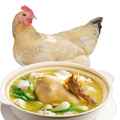 三黄鸡土鸡农家散养笨鸡老母鸡柴鸡整鸡肉山地活鸡月子鸡700克/只（3只装）掌柜推荐-700克/只3只装掌柜推荐均码