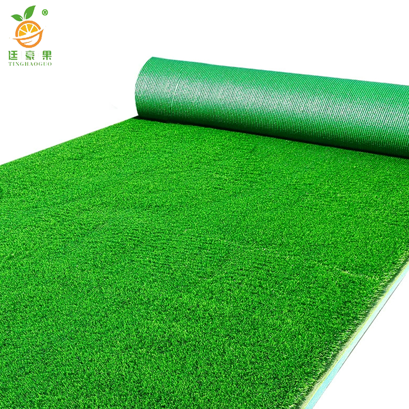 廷豪果 草坪草皮 100cm*100cm /平方米