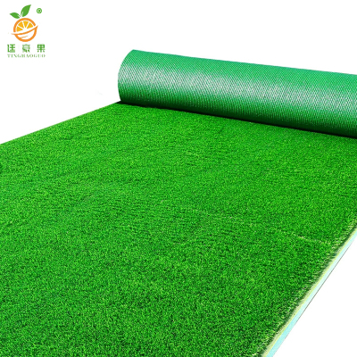 廷豪果 草坪草皮 100cm*100cm /平方米