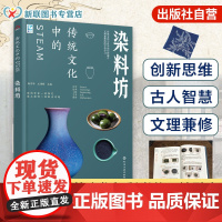 正版 传统文化中的STEAM 染料坊 9-14岁青少年儿童传统文化科普 国学经典历史书籍 传统文化历史传统物品DIY制作