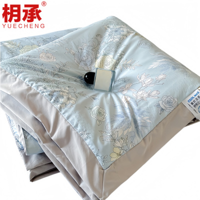 枂承 冰丝夏凉被 双人 张