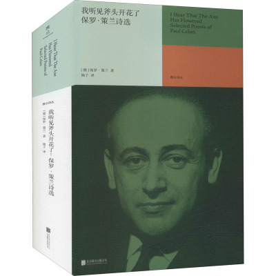 我听见斧头开花了:保罗·策兰诗选