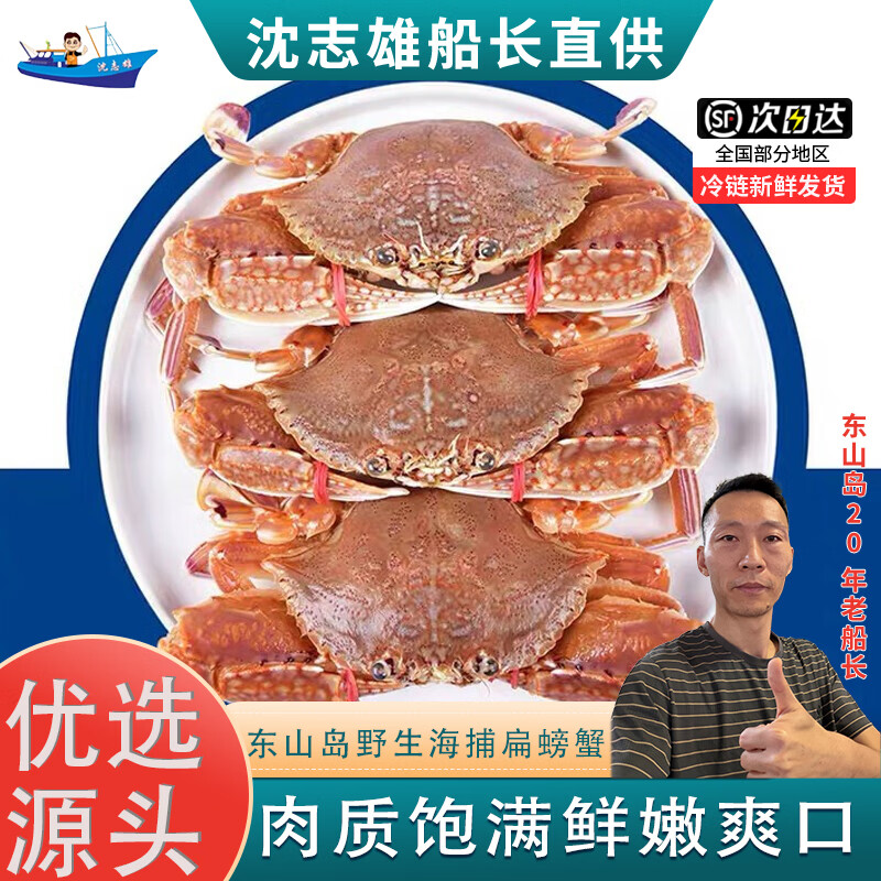 沈志雄 东山岛海鲜海捕蟹类白梭子蟹肉蟹扁蟹螃蟹活冻后寄2-4只/斤