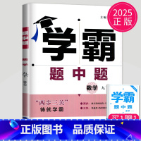数学 九年级下 北师版 九年级/初中三年级 [正版]2025学霸题中题九年级下册上册数学物理英语化学苏科版译林版苏教人教