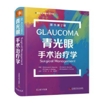 音像青光眼手术治疗学(原书第2版)(精)/国际经典眼科学译著