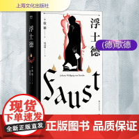 浮士德(德)歌德 著 杨武能 译WX