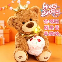 会唱生日歌的小熊录音玩偶公仔娃娃毛绒女孩玩具泰迪熊送宝宝1663