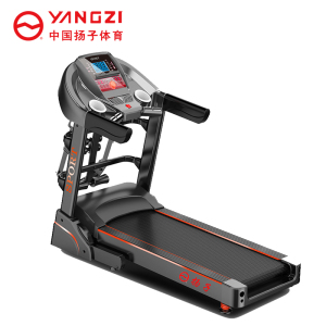扬子(YANGZI)跑步机YZ-4000DS