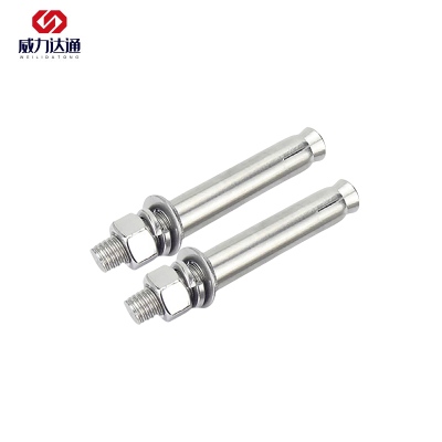 威力达通 不锈钢膨胀螺栓 M12*120 个