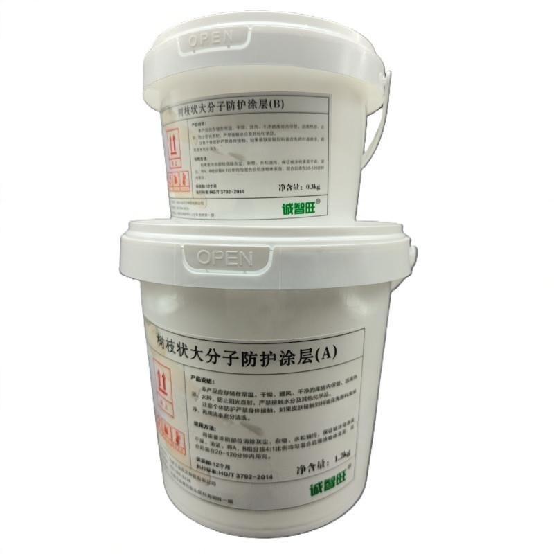 诚智旺 树枝状大分子防护涂层 银色 1.2+0.3kg/组