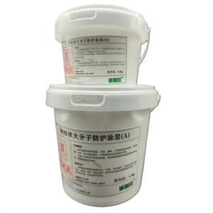 诚智旺 树枝状大分子防护涂层 银色 1.2+0.3kg/组