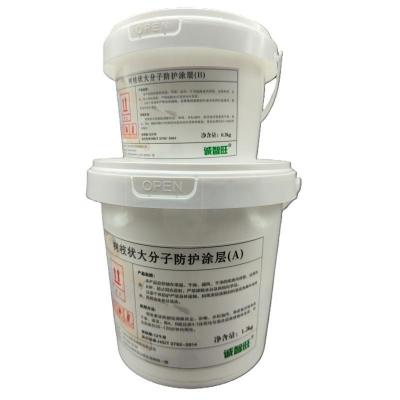 诚智旺 树枝状大分子防护涂层 银色 1.2+0.3kg/组