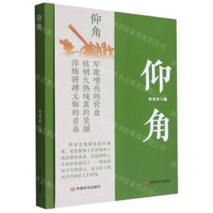 [N]仰角-9787517141549
