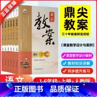 1-6年级语文上册套装[人教版] [正版]2024版鼎尖教案小学语文一二三四五六年级上册下册教案人教版教师备课教案教学教