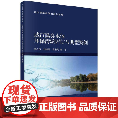 [按需印刷] 城市黑臭水体环保清淤评估与典型案例