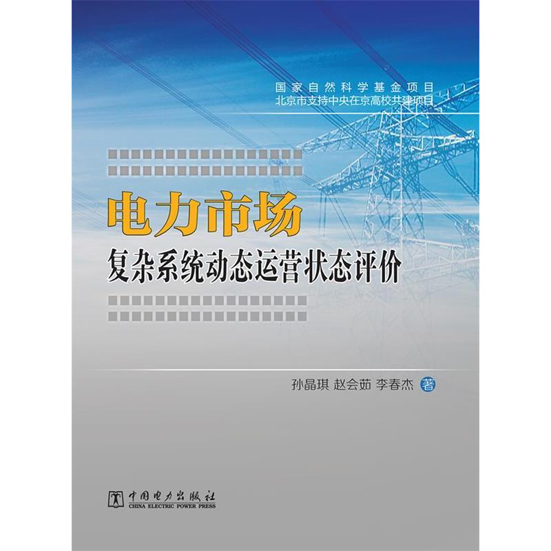 正版新书]电力市场复杂系统动态运营状态评价孙晶琪,赵会茹,李