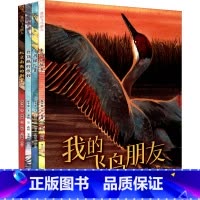共4册 [正版]我的飞鸟朋友 你如此勇敢 全4册 保冬妮 丹顶鹤的旅程 北京雨燕的新家 寻找绿孔雀 朱鹮回故乡 以中国珍