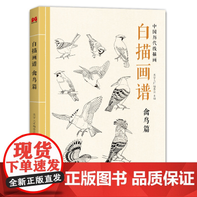 白描画谱 禽鸟篇 中国工笔技法画册集书籍入门初自学者零基础教程材成人手绘临摹勾线名家底稿图大全美术绘画