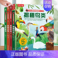 乐乐趣揭秘翻翻书系列第六辑 全4册 [正版]揭秘系列第六辑儿童立体书翻翻机关书儿童百科全书经典早教启蒙科普类书籍幼儿园