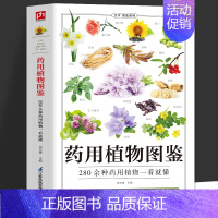 药用植物图鉴 [正版]药用植物图鉴 280余种药用植物一看就懂 野外中草药识别与应用图鉴大全 草药图鉴百科全书药用植物辨