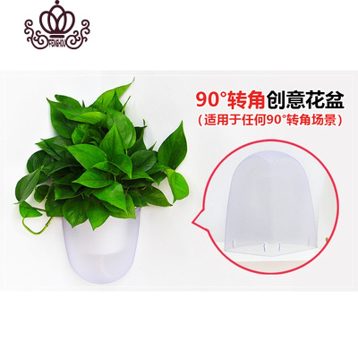 壁挂式透明花盆价格 壁挂式透明花盆最新报价 壁挂式透明花盆多少钱 苏宁易购