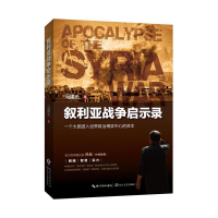 正版新书]叙利亚战争启示录马建光9787535499400