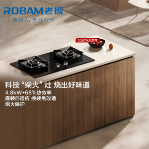 老板(Robam)4.8kW煤气灶68%热效率灶具 节能省气 双灶家用猛火灶55B7A液化气