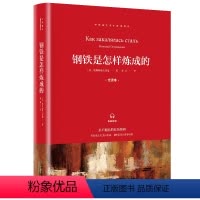 钢铁是怎样炼成的 [正版]钢铁是怎样炼成的八年级下册 原著 完整版初中生中学生阅读课外书籍读物世界名著青少年版励志八九年