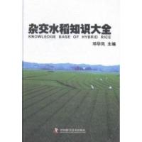 正版新书]杂交水稻知识大全邓华凤9787504666956