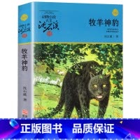 牧羊神豹 [正版]完整版牧羊神豹全本沈石溪的图书籍动物小说大王品藏系列小学生四五六年级儿童文学作品珍藏大全全集1全套单本