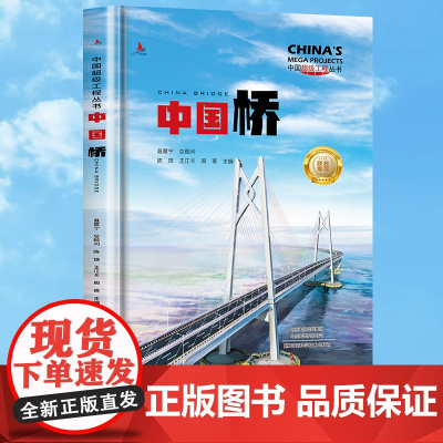 正版童书 中国桥精装中国超级工程丛书系列青少年建筑科普百科知识6-9-12-14岁阅读书籍