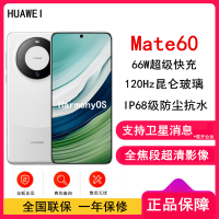 [原封]华为Mate60 12GB+512GB 白沙银 66W快充 全焦段超清影像 鸿蒙OS 120Hz昆仑玻璃屏 支持卫星消息 全网通手机
