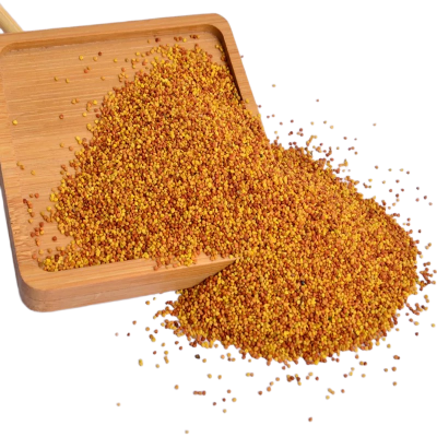 诚智旺 红三叶草种子 净籽/千克