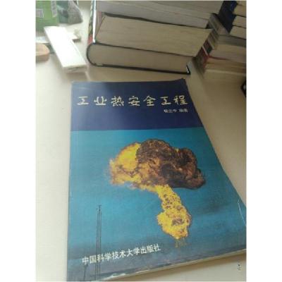 正版新书]工业热安全工程杨立中 编著9787312012358