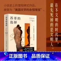 [正版]苏菲的选择 美国“国家图书奖”获奖作品 一部写尽罪恶与救赎的人性悲剧 新版增补译文10万字 外国文学小说书籍