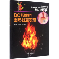 音像DC影像的图形创意表现薛以平,王娜娜,尹毅 编著